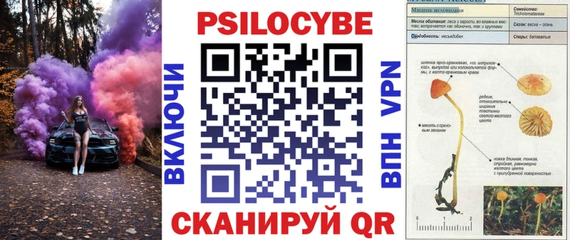 Псилоцибиновые грибы мухоморы Сасово